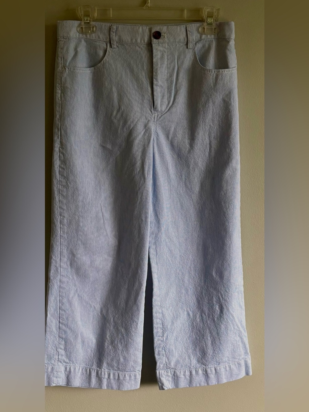 J. Crew Ella High Rise Wide Leg Cropped Blue Stripe pants Size 28